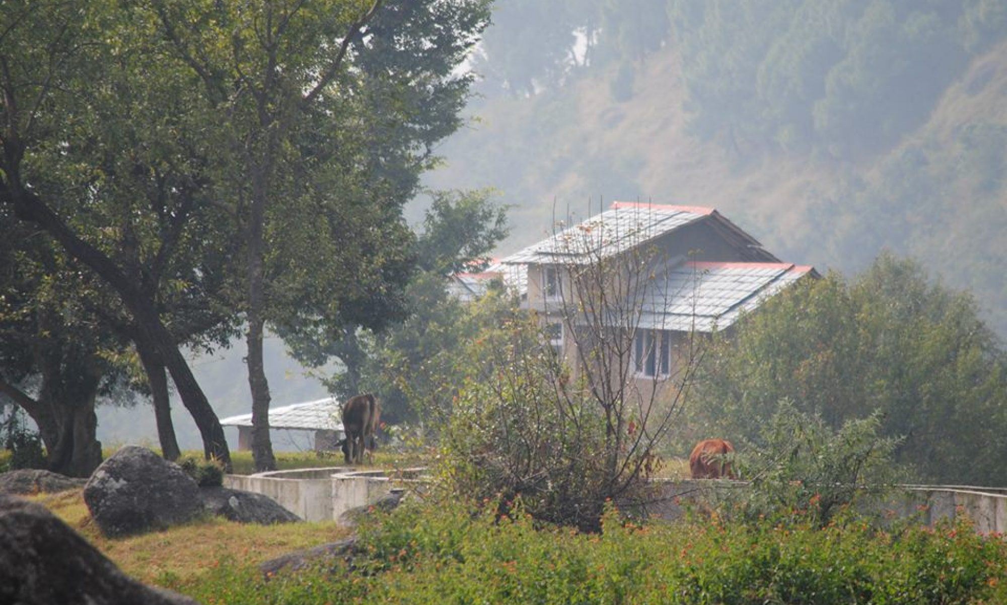 The Earth House, Palampur
